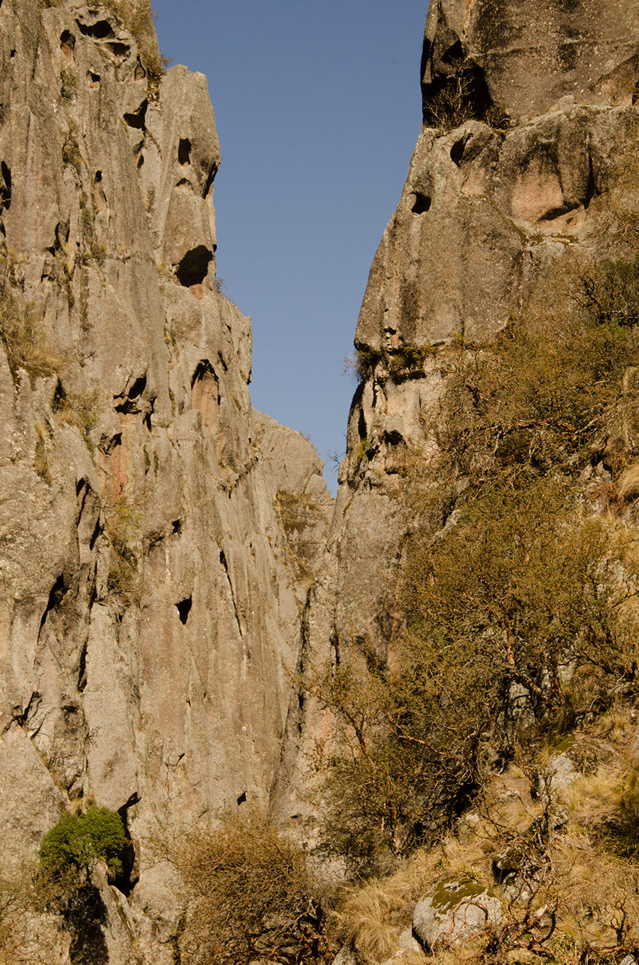 En la esquina inferior izquiera de esta fotografía, se ve a un Maytén, prendido de una pared de granito vertical, apenas una mancha verde en medio de un mar gris. Abajo, por entre los dos paredones gigantes que se cruzan, corre un arroyo. En el paredón del frente, se hacinan unos Tabaquillos, hirsutos y crespos como la barba intonsa de un endriago descomunal. 